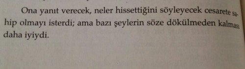 Gömülü resim için kalıcı bağlantı