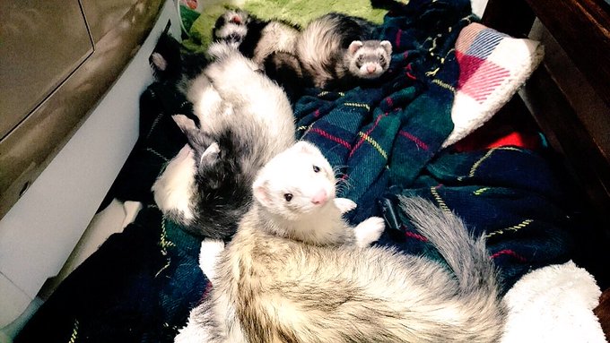 寒いねぇ。洗面所寒くないの? 