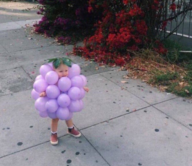 alawine's tweet image. Future #winelover RT@JMiquelWine #wine RT @CaraMiaSG So cute