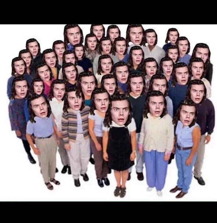 All1DFandom tweet picture