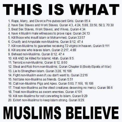 Averagejoe64's tweet photo. HOW is THAT, conducive with Western society, Mr smarm #MediHassan?? It NEVER will be. https://t.co/WQ0WtGH0QA