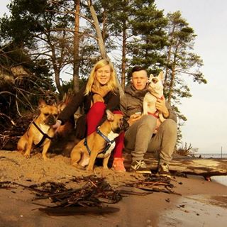 Frenchie_Cute's tweet photo. Family power, don't mess with US!
#frenchbulldog #frenchie #bigfamily #madogs #dog https://t.co/Ak2vPu7imS https://t.co/xvchhCBuEq