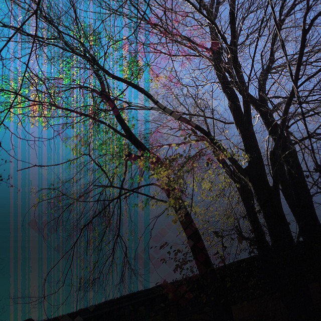 StArtEverywhere's tweet photo. #carrollgardens #brooklyn #daybreak #dawn #sunrise #brownstone #brownstonebrooklyn #treescape #treepoetry #streetsc… https://t.co/2fiNSKYtZw