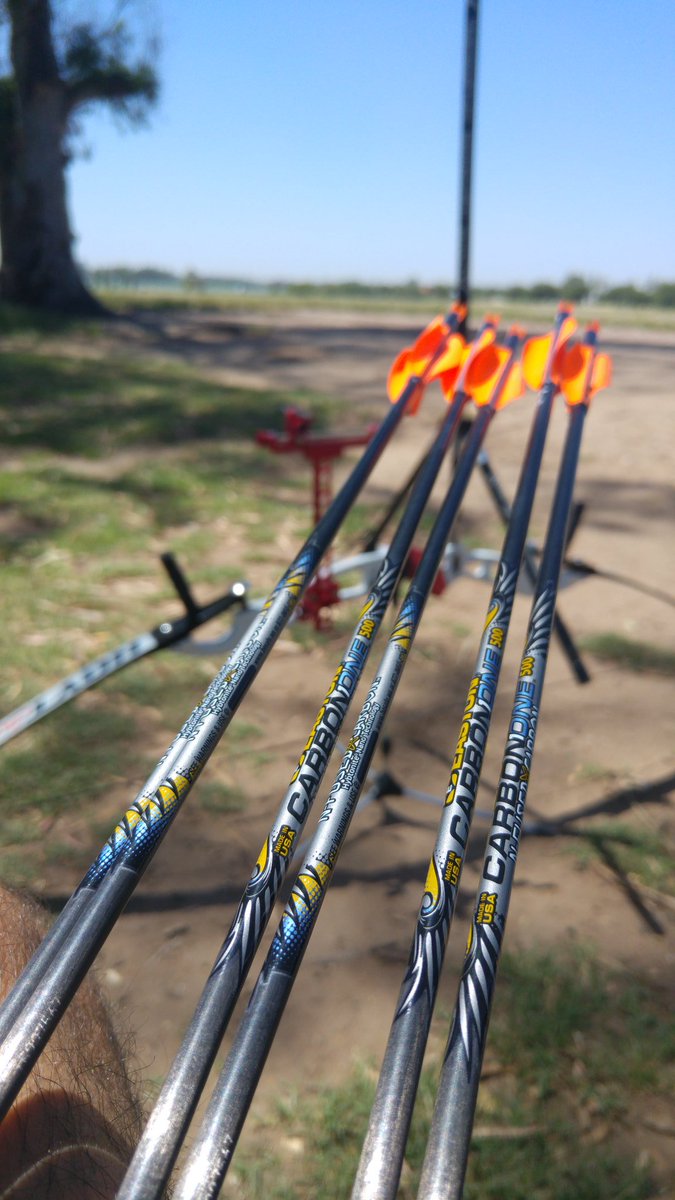 oneFernecitoo's tweet photo. Vuelen mis pequeñas vuelen! #Arrow #Archery #Easton #CarbonOne #Hoyt https://t.co/iR3kpKCBBD