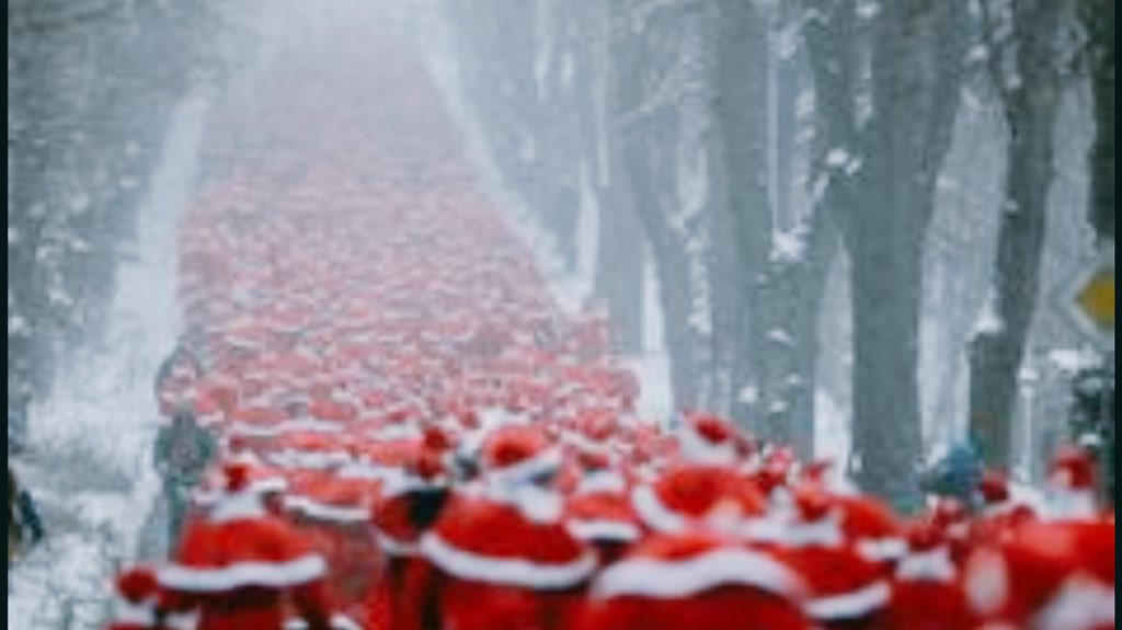 Bellwetherwine's tweet photo. How we feel in #Coonawarra as the Riddoch Hwy comes alive with the number of #stuffedsanta 's comes to life https://t.co/W7KJEqzFpu