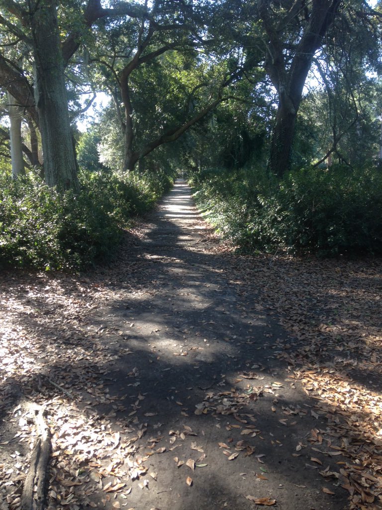 P_Lacasse's tweet photo. View from a trail #runchathunt https://t.co/9zZTz639Qj