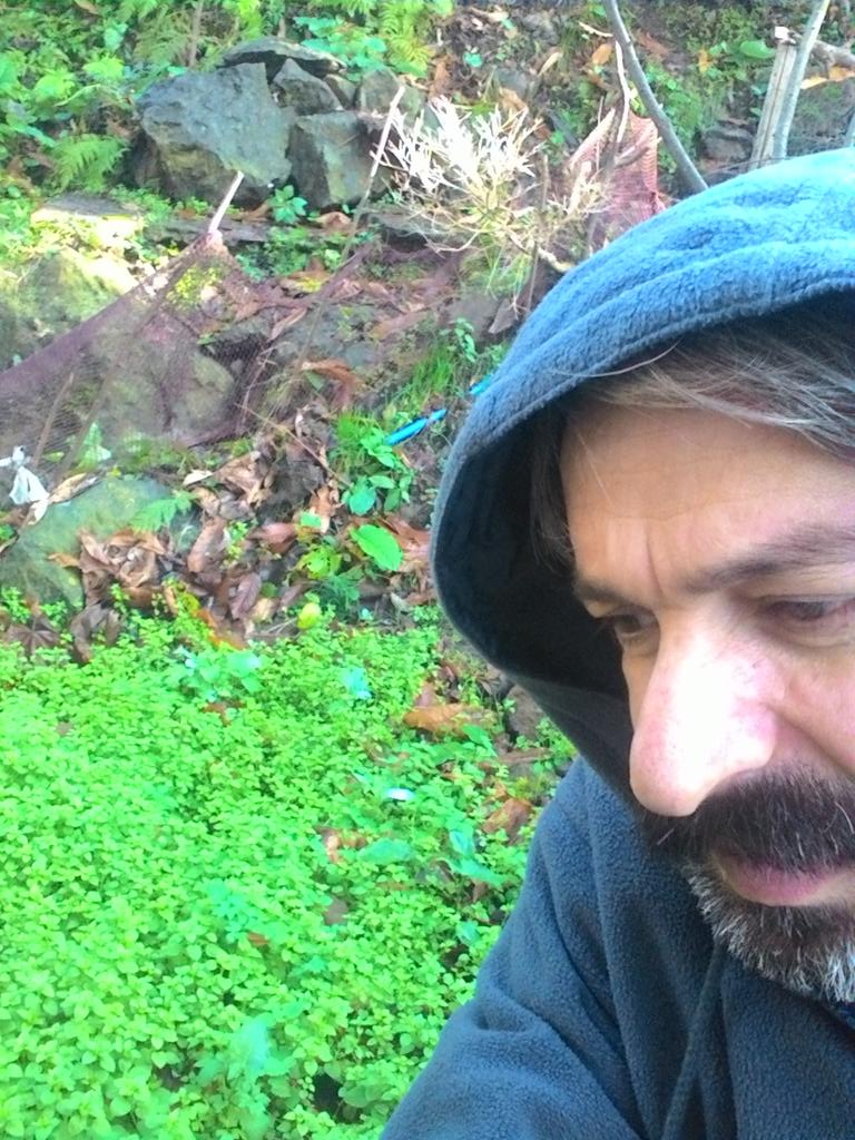 fun_phys's tweet image. Zuzulata plantation..it is my poison.