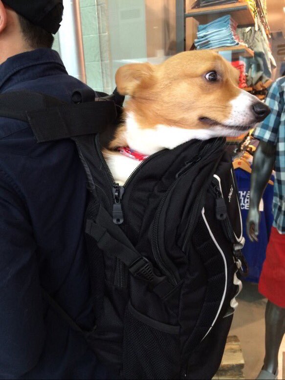 MISTER_GIA's tweet image. - - LOOK AT THIS 😍 .