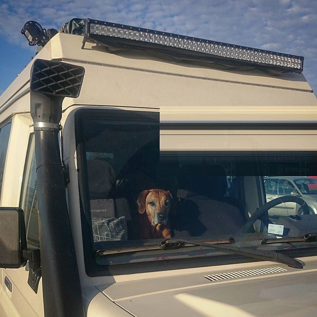 FollowTheHound's tweet photo. Not sure who is more bored. Me or the #hounds. Only 600km more to go... #24hourdrive #ridg… https://t.co/6O7qyKHuTh https://t.co/hSppBLr34a
