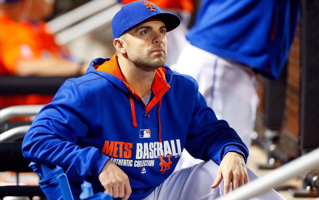 Happy Birthday to the captain, David Wright! He turns 33 today. 