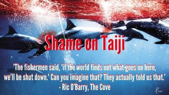 jilleeeebean's tweet photo. .@Montel_Williams Please RT 4 the 100 dolphins that await fate today in #Taiji #Japan. #Capitivity or Slaughter! https://t.co/BvcJpLxAWh