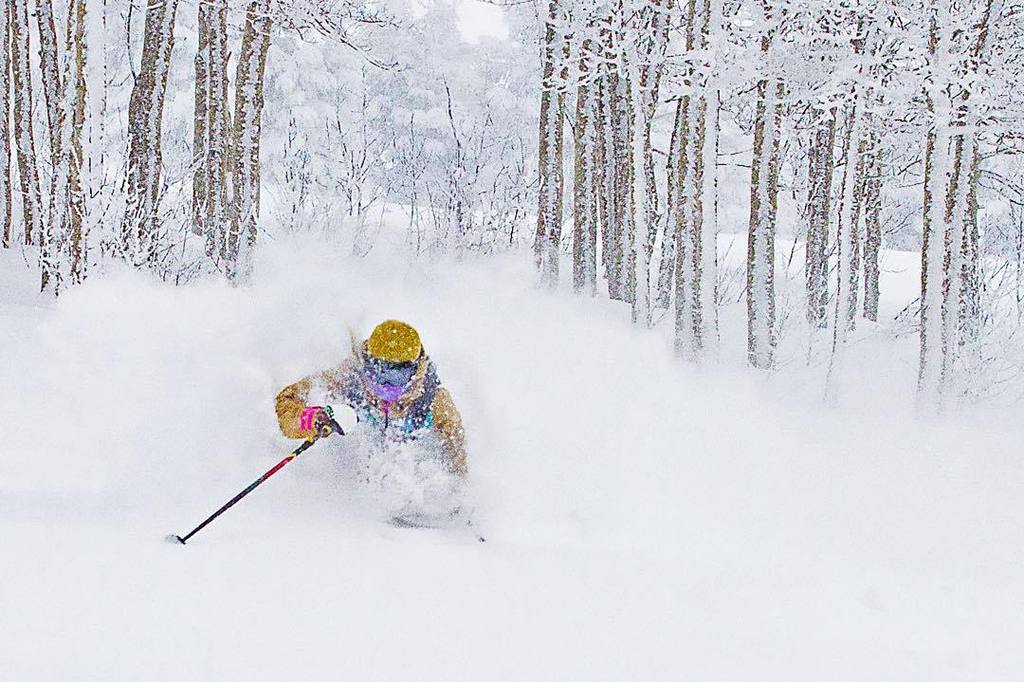 Northwest Tech tweet media