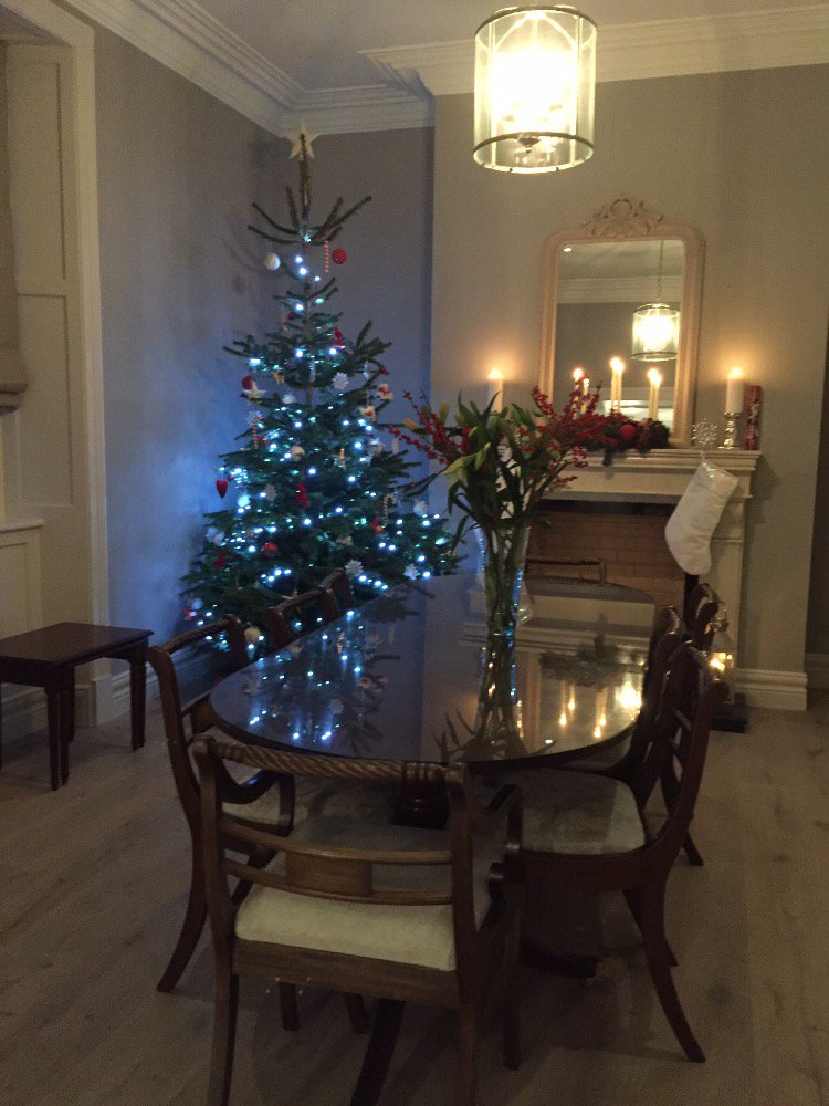 emilysheerin's tweet photo. First tree in our new house! 🎄❤️🎅🏻🎁🎉 https://t.co/Q1q4KZOmPE