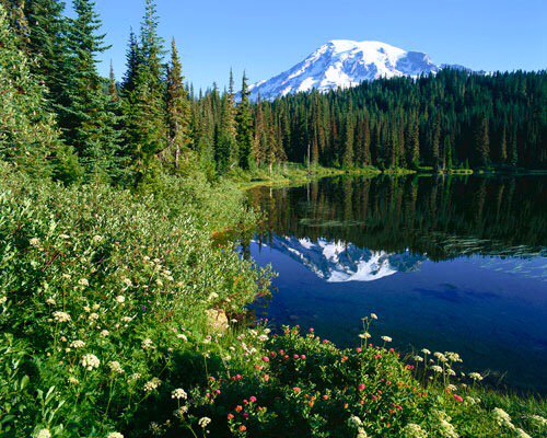 rvsnwest's tweet photo. #Idaho #Washington #Camping #Adventure - Some of the best camping anywhere is right out of our back door. https://t.co/9DKoEkmTRl