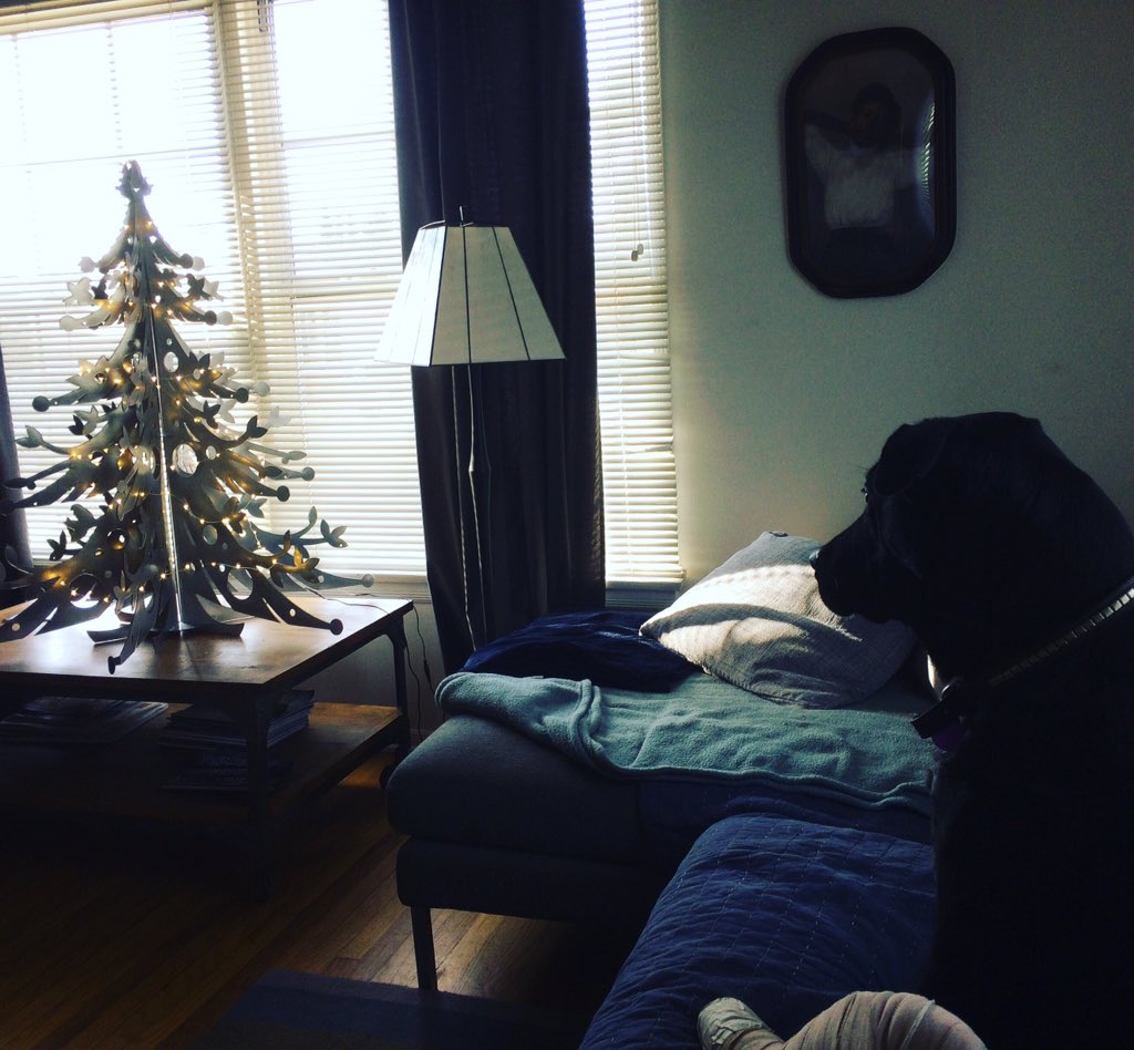 formbyheidi's tweet image. Violet (lower right) is checking out the silver #Treeform!!!
What a perfect pair.  Thanks for sharing Ame V!!!