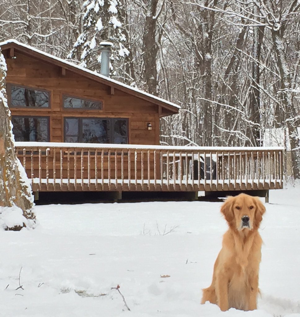 jepelant's tweet photo. Maya and I would like to move to the cabin permanently. https://t.co/eDmD9c9DXh