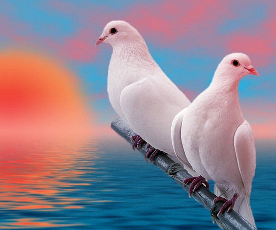 @loloabd71