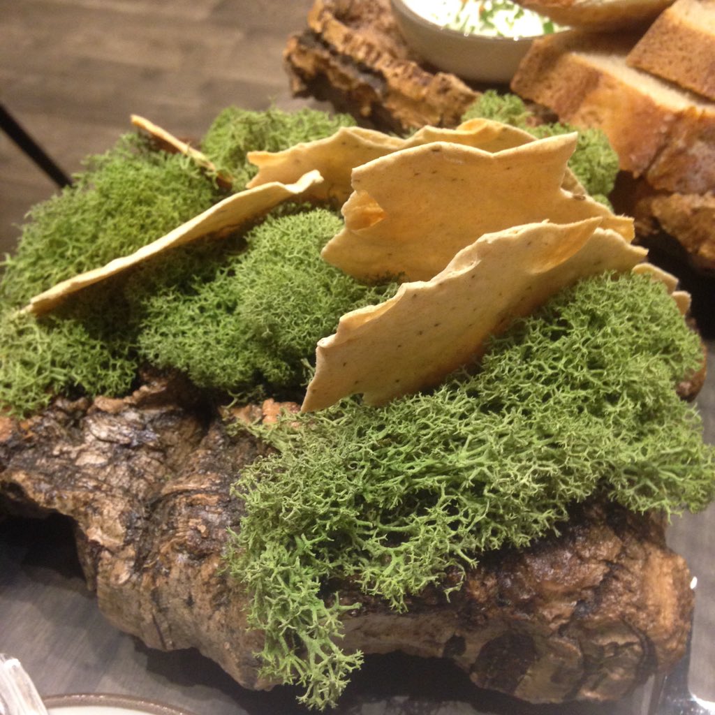 Zuzanka's tweet photo. Hodolanská omáčka s tvarůžkovou pěnou a chlebovým chipsem. Hodně fancy provedení ;). #entree https://t.co/TZFbrgKpTB