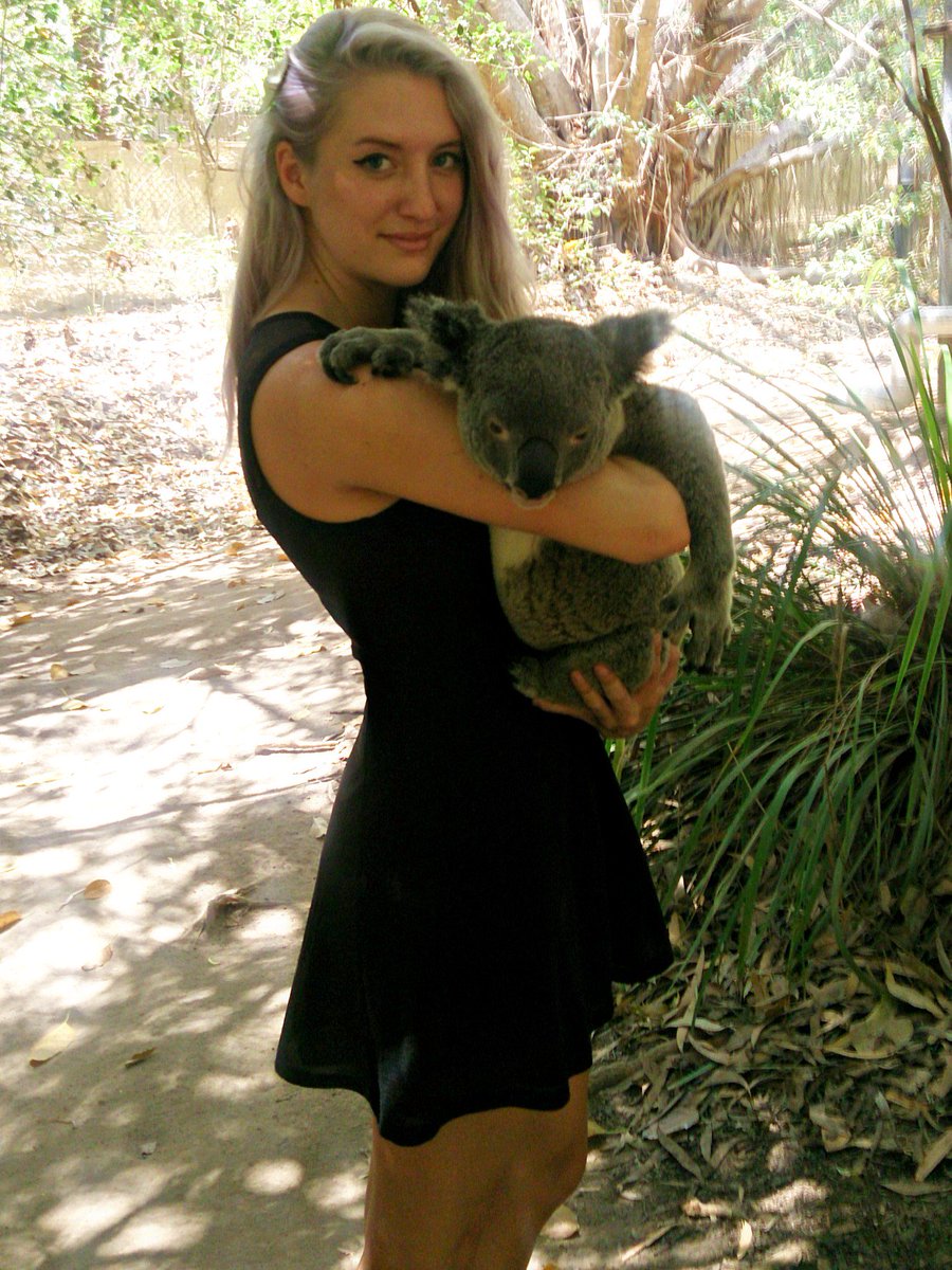 chellazure's tweet photo. My favorite Island: Magnetic Island ๐๐ด๐จ #discoverqueensland #magneticisland #koalas #fortswalk #myaustraliaroadtrip https://t.co/P3WNMuWQKC