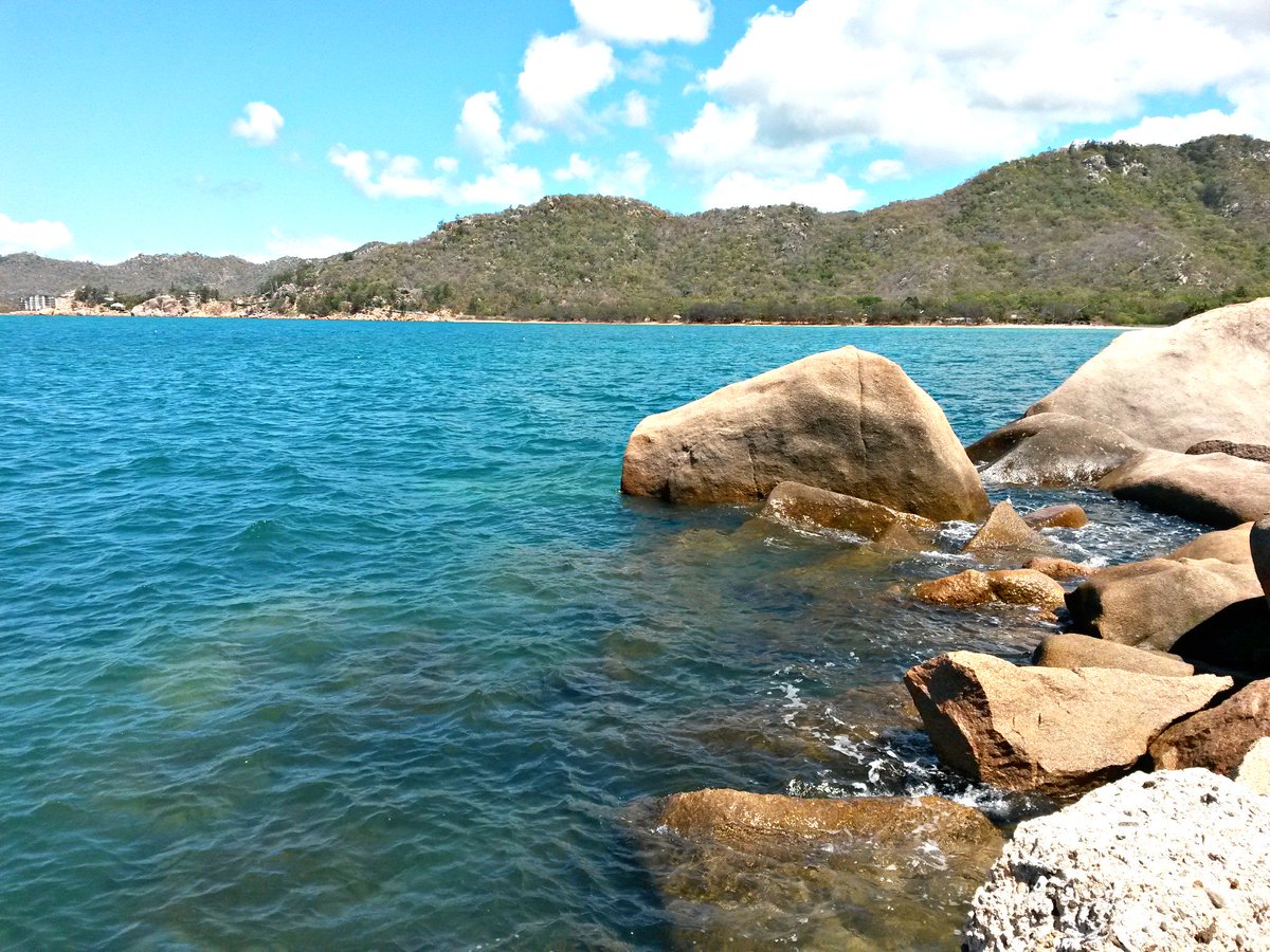 chellazure's tweet photo. My favorite Island: Magnetic Island ๐๐ด๐จ #discoverqueensland #magneticisland #koalas #fortswalk #myaustraliaroadtrip https://t.co/P3WNMuWQKC