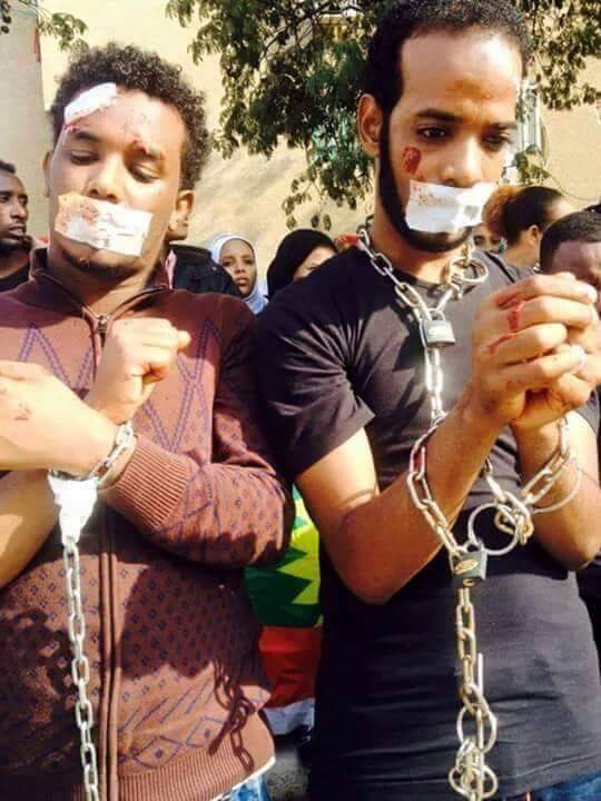 4e1186ebe24a462's tweet photo. እንግልቱም በዛ ዱላውም በረታ😢 መታሰር መገደል ባህል ሆኖልናል ያረህማን የረህም ሁንልን ከለላ መጠግያ የለንም እኛ ከንቴ ሌላ#oromo protest https://t.co/31LOL9i05q