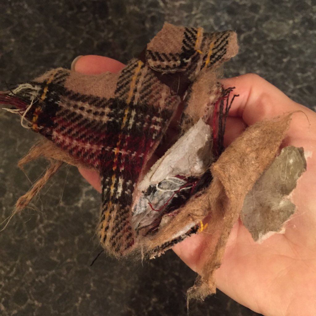 mylothebeagle's tweet photo. Mylo really liked our Christmas tree decoration from @bellabbeagle 😤😢 https://t.co/DsIL6WTArB