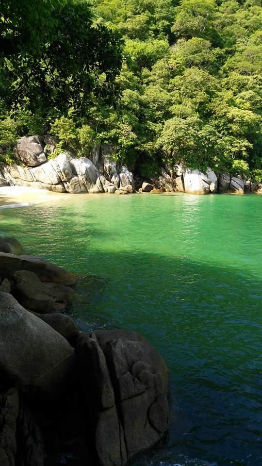 EasyhomeVta's tweet photo. #PuertoVallarta #Colomitosbeach

Hermosa playa secreta, ven a conocerla https://t.co/UAshCACRwK