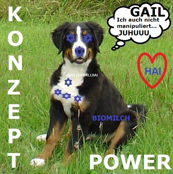 killerwallhai's tweet photo. #GAIL #DRACHE #CLEVER
#SportlerdesJahres 2015 @ZDFheute #GELESEN
#WEITERSAGEN #STEUERZAHLER #MOSCHEE #KIRCHE #ZURÜCK https://t.co/nHGXsMimVL