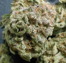 24_7Deliveries's tweet photo. Smoking on some YUMMY Captain Crunch Berry! Mention this ad for a 4.0 gram eighth! #LosAngeles #vapelife https://t.co/oDvD2mnxPj