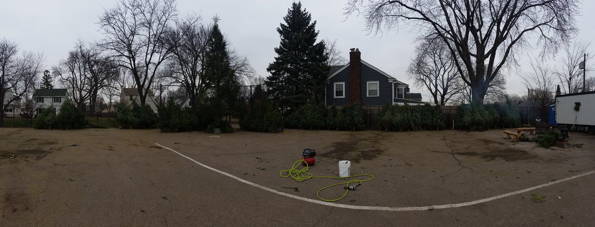 SPSkilly's tweet image. Look at these beauties - all looking for a home. Pick one, make a donation. Spread the word. 1900 Stanford Ave