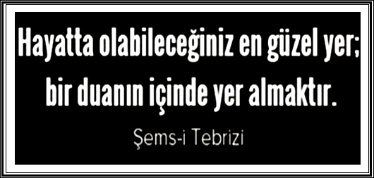 sosyal_soz's tweet photo. #SosyalHamzaHocayaGüveniyor @hmzaydg @mebikgm https://t.co/vOPaigvjwe