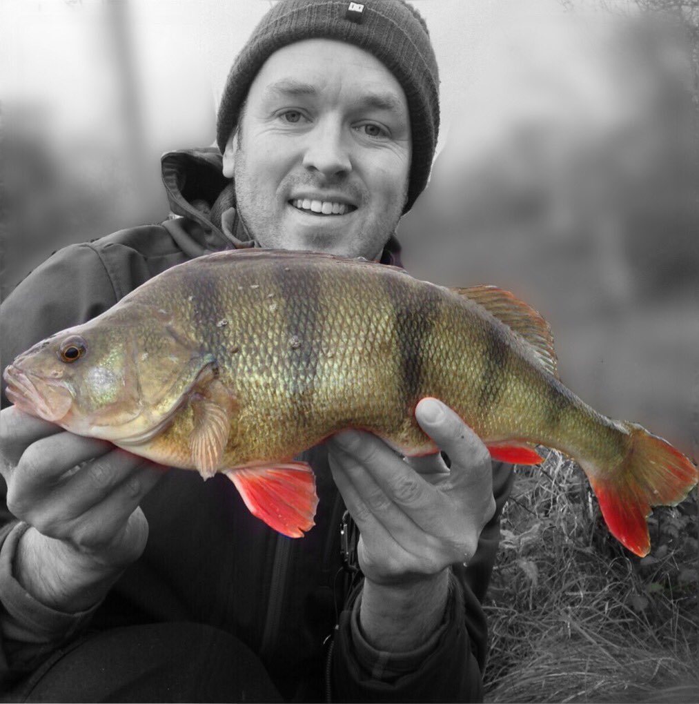 Early morning rewarded with this fella, went 44cm #perch