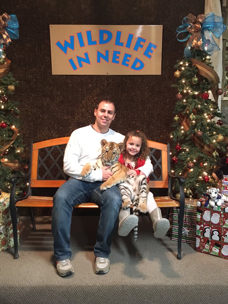 SQLDBATrain's tweet image. Got to pet tiger cubs!!!