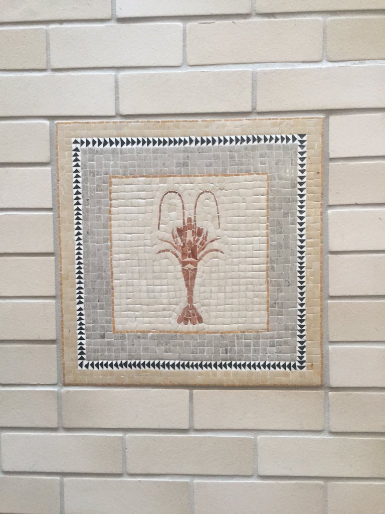 all real shrimp fact tweet media