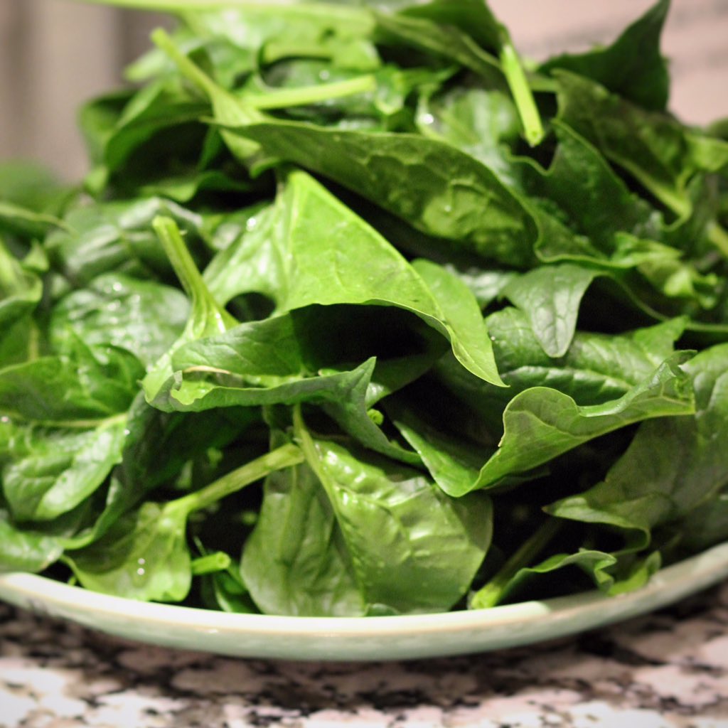 December's spinach harvest tastes as good as it looks! Complex flavor and late season freshness 🤗 #urbanag