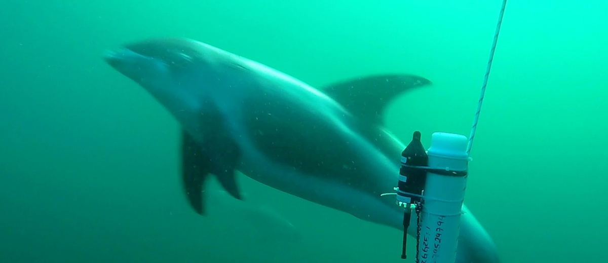 Ocean Instruments NZ tweet media