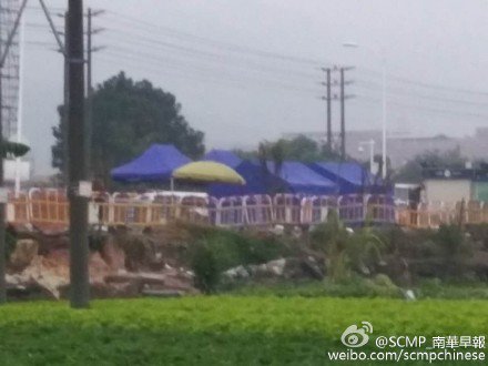 SCMPChinese's tweet photo. 【#深圳光明新區山體滑坡 起碼方圓一公里封鎖】現場方圓起碼一公里都被封鎖，所有人都不得內進，基本上五米十米就有一個警察，現場布滿不同地方來的搜救人員，還有武警，挖土機在不斷運作，由於視角受限，只能看到數十台挖土機不斷在大坡上挖掘。 https://t.co/5Xt0Qfz8CP