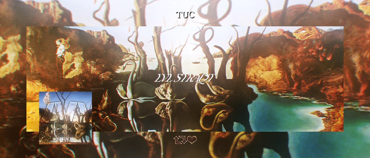 TuccuT_ tweet picture