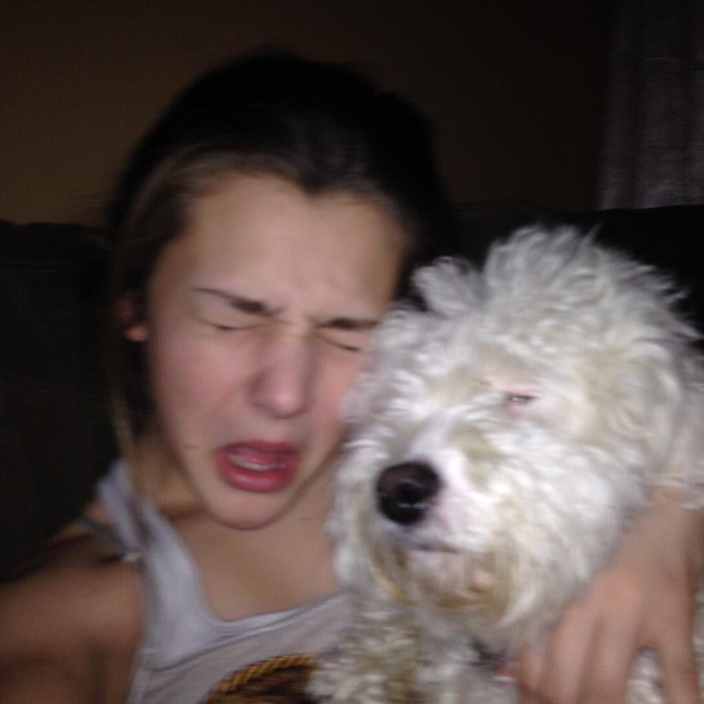 _alliejones19's tweet photo. tb to 1 year ago today when Max looked high and I was blinded by the light #weloveflash https://t.co/Dlpc4sapDZ