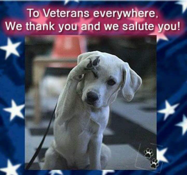 You're Thanked, Honored and Respected..#HonorOurVets