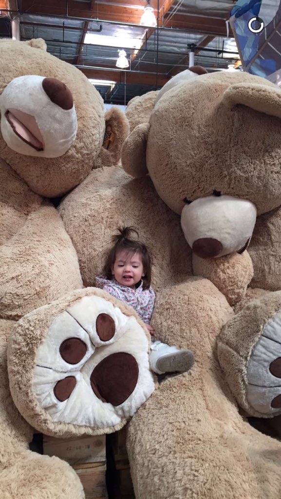 RosesDirection's tweet photo. Day 7 !!! Look at these huge bears !!!! 😍🐻 almost as soft as Louis 👀 https://t.co/53bWS6wVXq