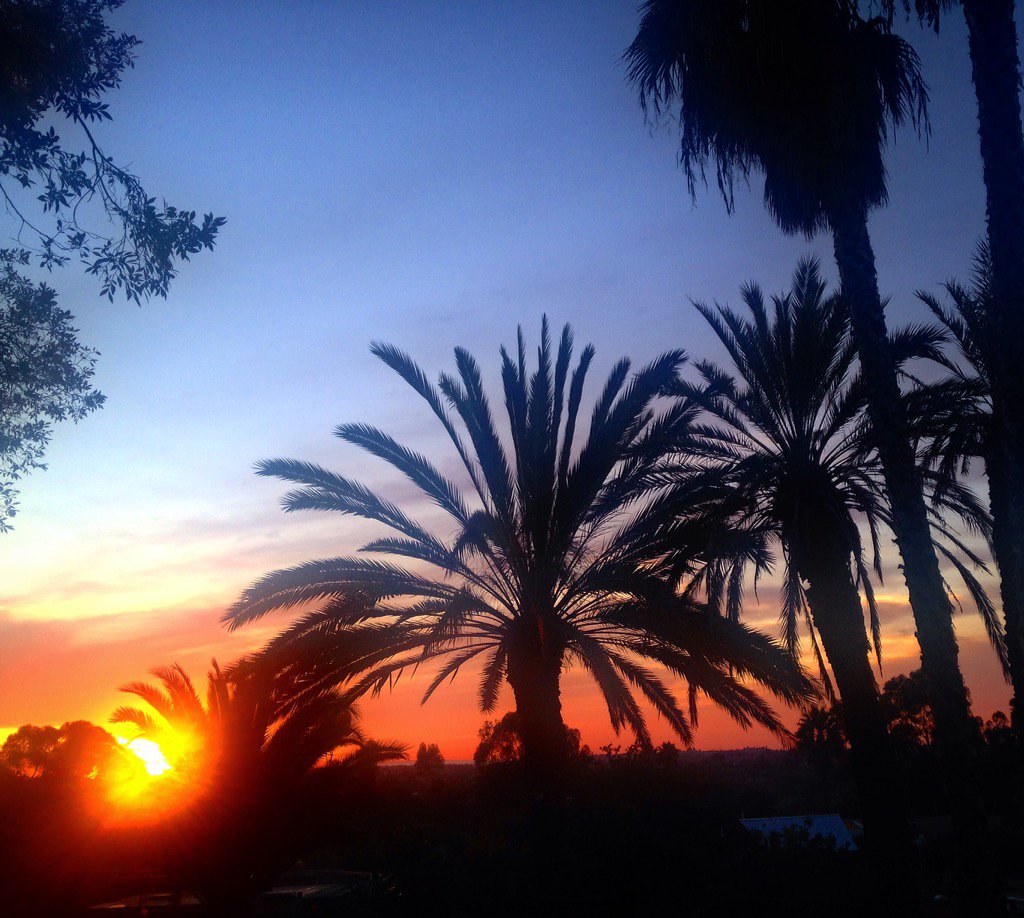 desiree_astorga's tweet image. Thank you 🙏 #northcountysd #nbcsandiego