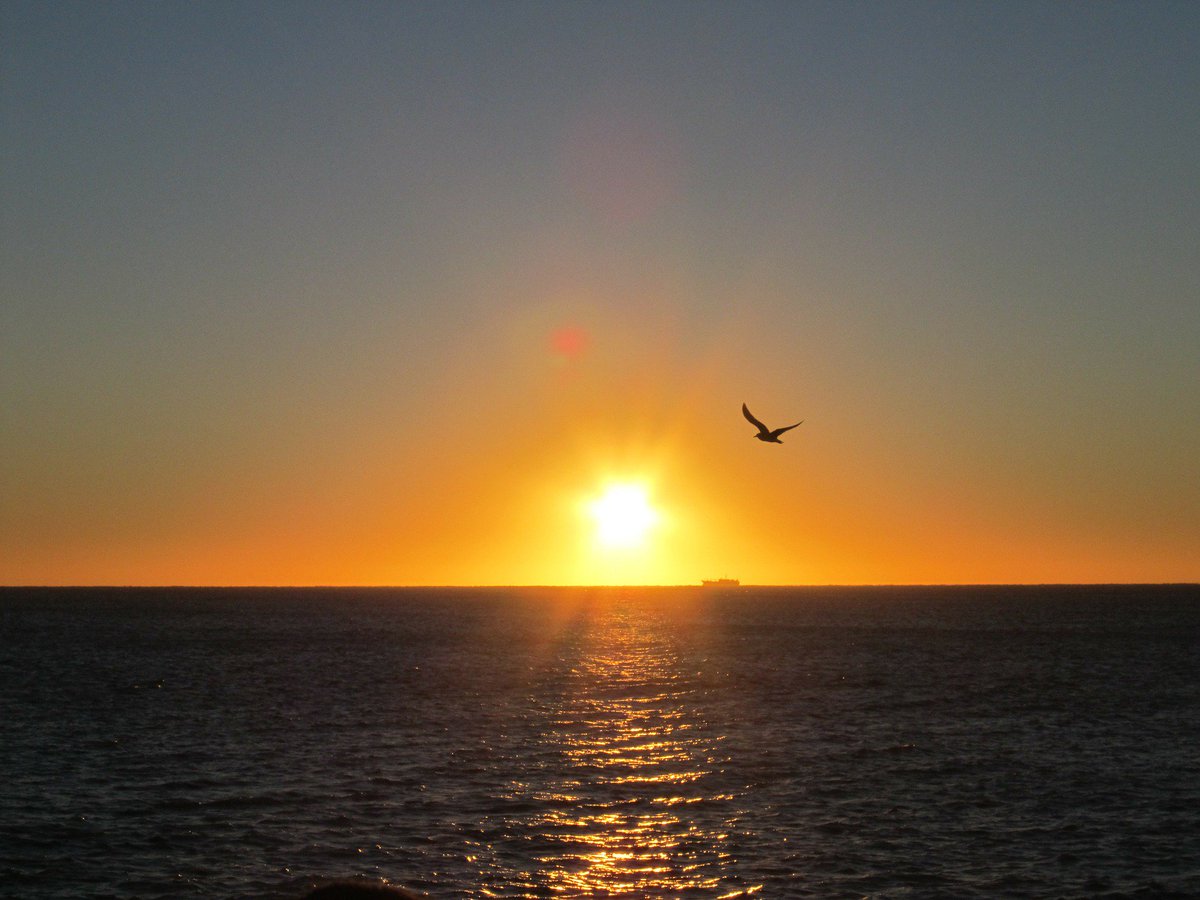 EspanaEnLatam's tweet photo. Buenos días, lunes.
Los viajes son como los atardeceres; si uno espera demasiado, se los pierde. https://t.co/Eu3zAmy8U4