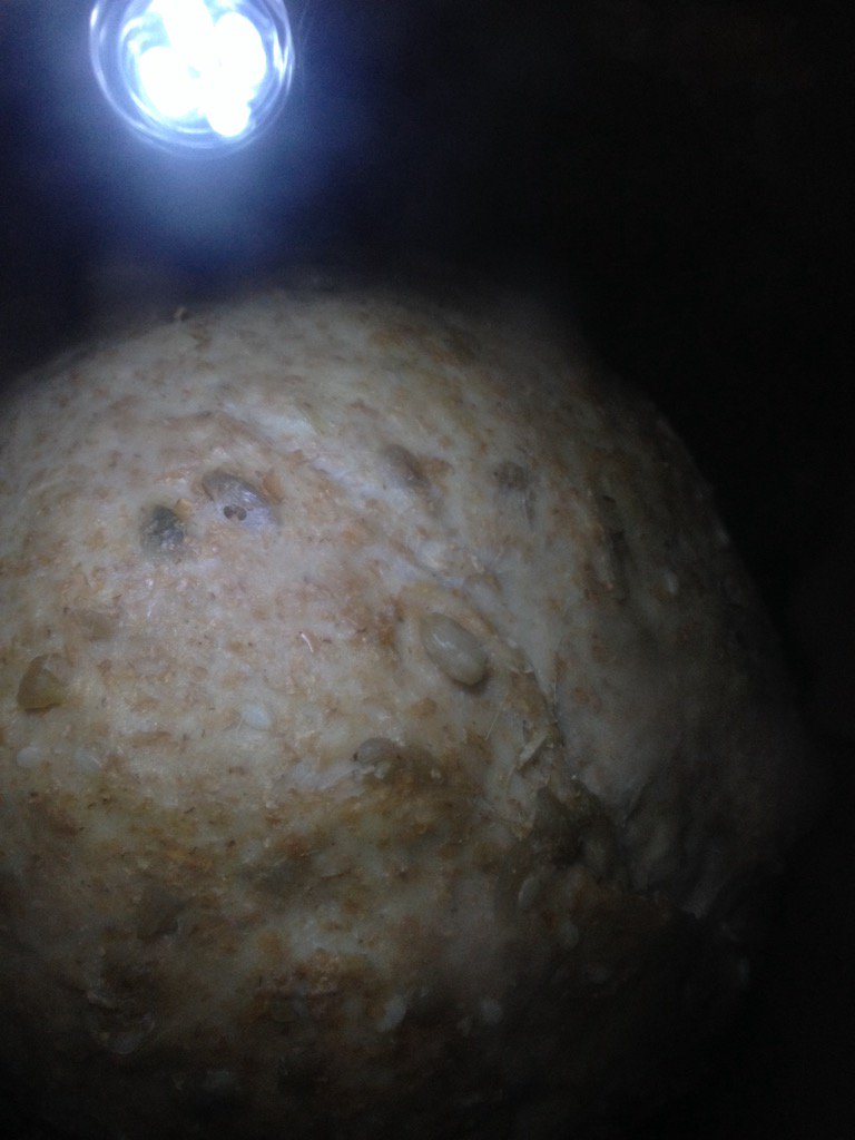 DoctorGOE's tweet image. Rising #seedbread in #bread maker #homebaking #homecooking #food