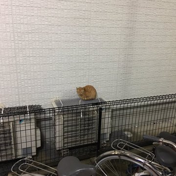 ねこ避けで置いたトゲトゲの上で ねこが超くつろいでるんですけど Togetter