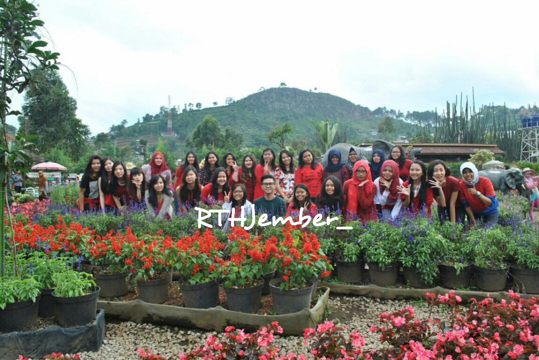 RTHJember_'s tweet photo. 5th Anniversary @raflatahugs #OneDayWithRafael https://t.co/pVd22RHXCs