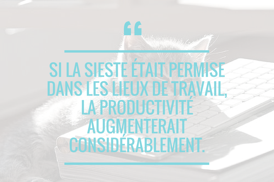 Iris_EntAdaptee's tweet photo. Je ne le répéterai jamais assez ... https://t.co/CbW9waxMDM