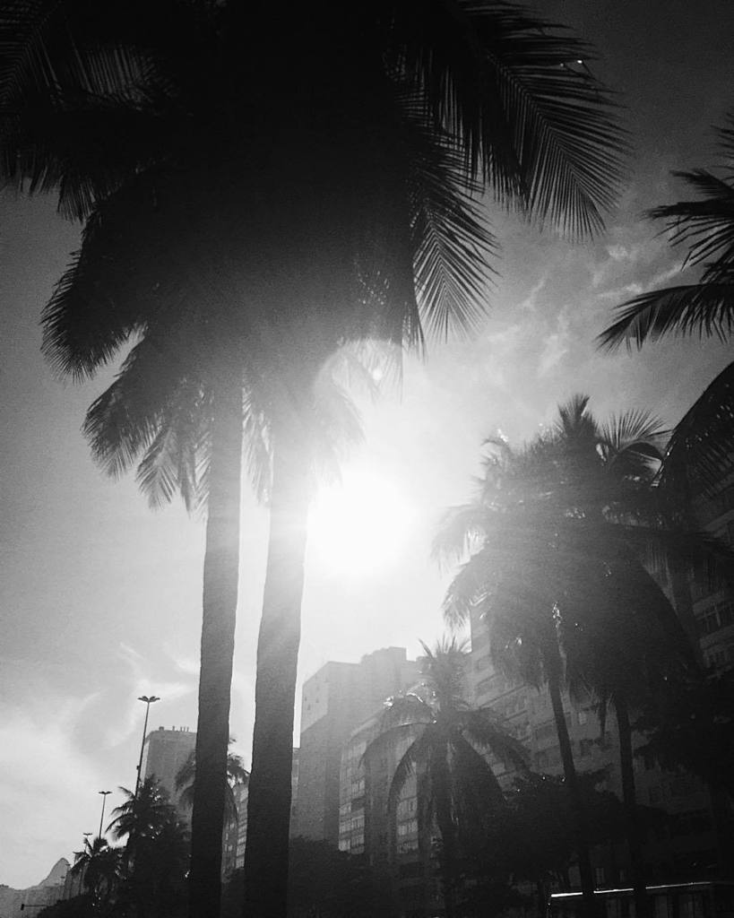 instacopacabana's tweet image. My love for trees #shinesbright lol #mondaymorningdreaming oh to be #underatree #rightnow … ift.tt/1S406Cv
