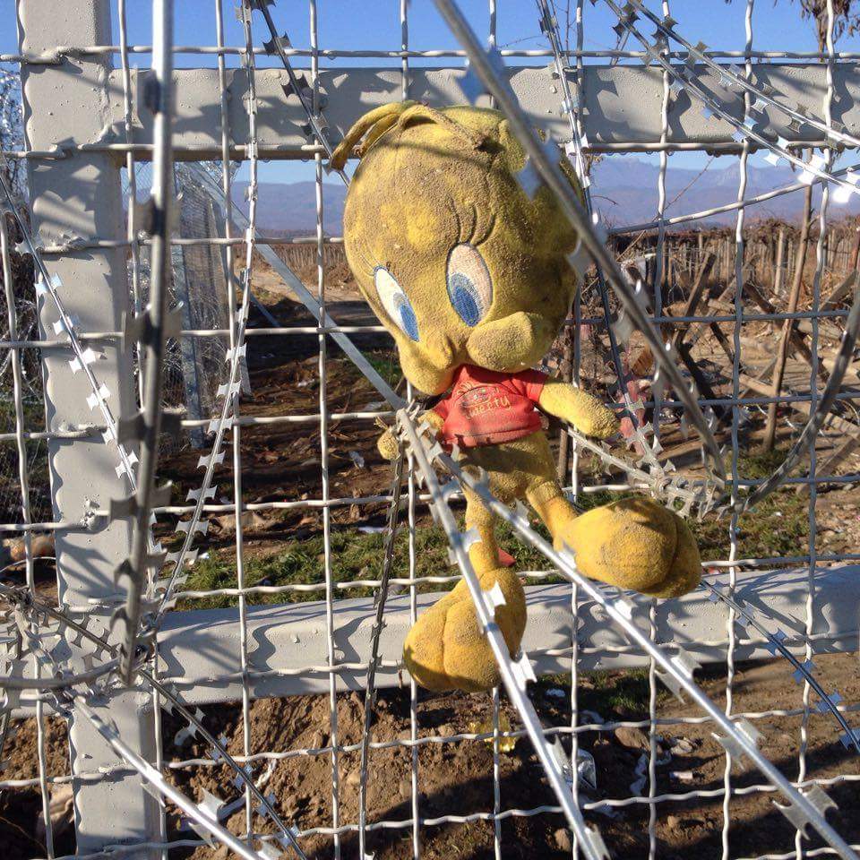 Tweety al tempo di Twiter. Frontiera greco macedone. <a href="/BalcaniCaucaso/">OBC Transeuropa</a> @CostamagnaRC <a href="/i_divergenti/">I divergenti</a>