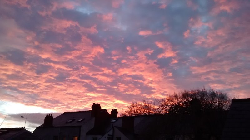 dandrewprice's tweet photo. Penylan (you beauty) earlier. https://t.co/puOv0njHip